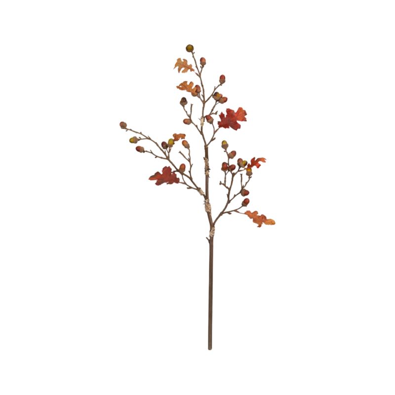 32" Acorn Spray