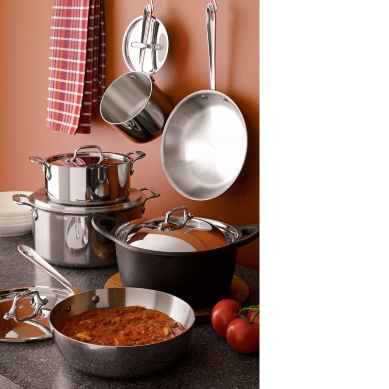 All-Clad (r) Stainless 9-Piece Cookware Set with Bonus