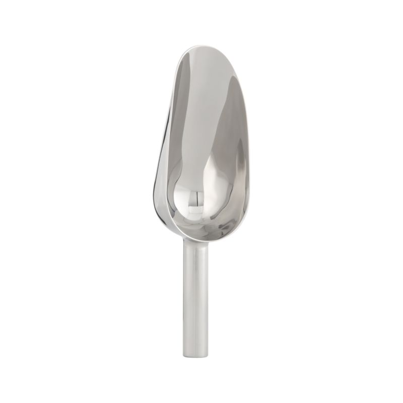 Large All-Purpose Scoop