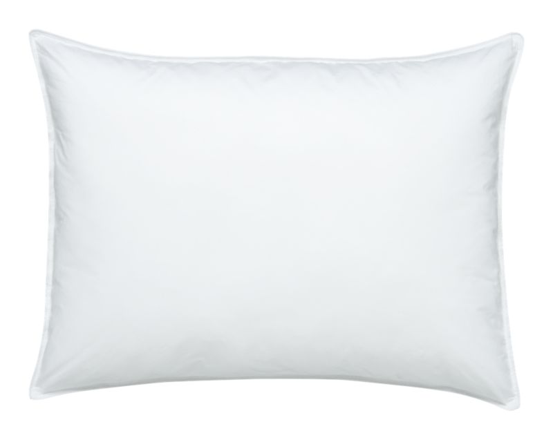 AltDownPillowStnd26x20F7