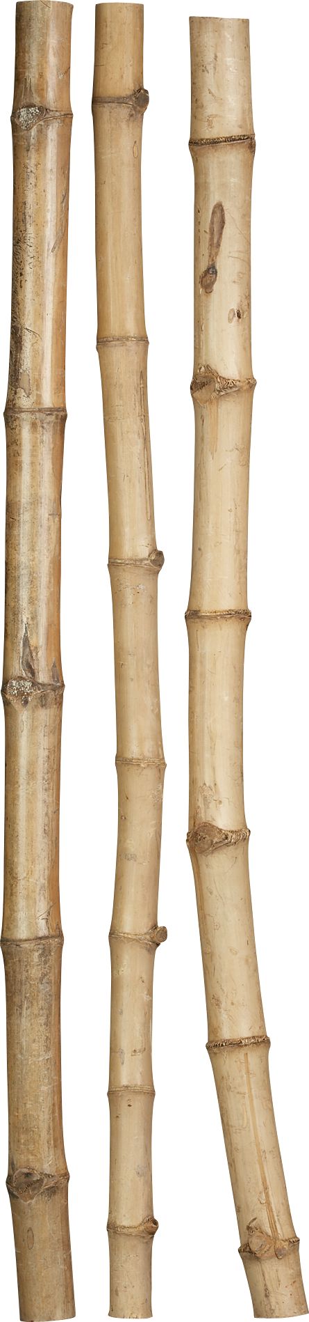 Set of 3 Amazon Bamboo Poles