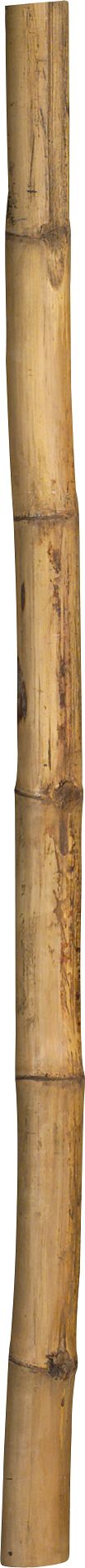 Bamboo Pole