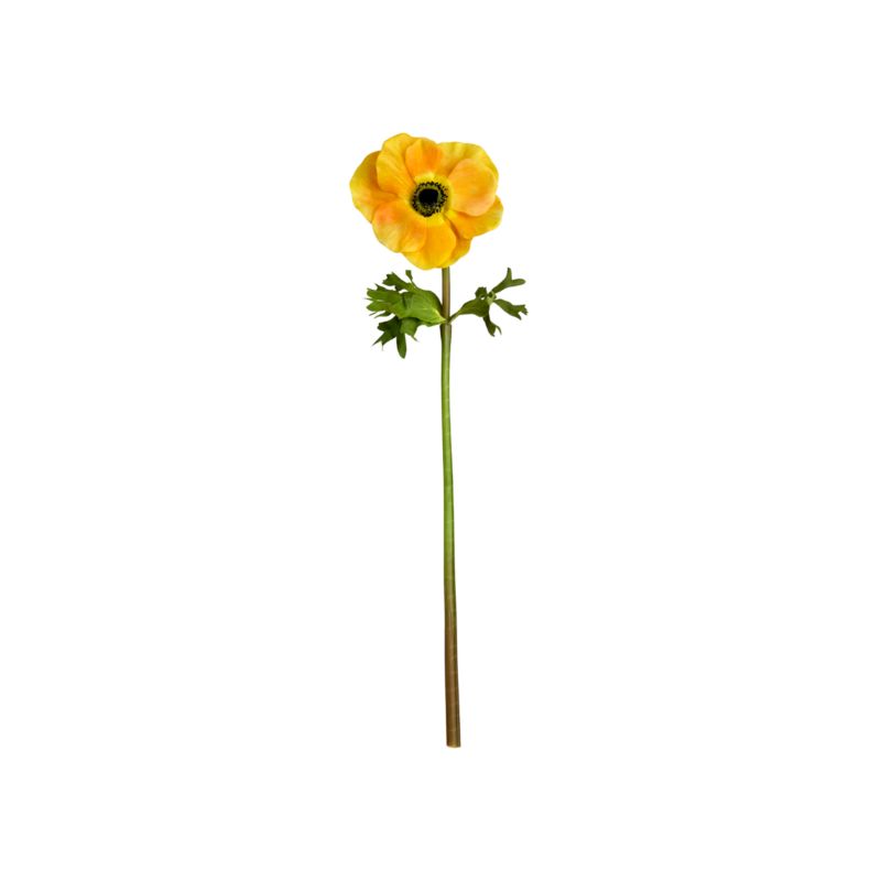 AnemoneStemGoldS12