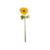 AnemoneStemGoldS12