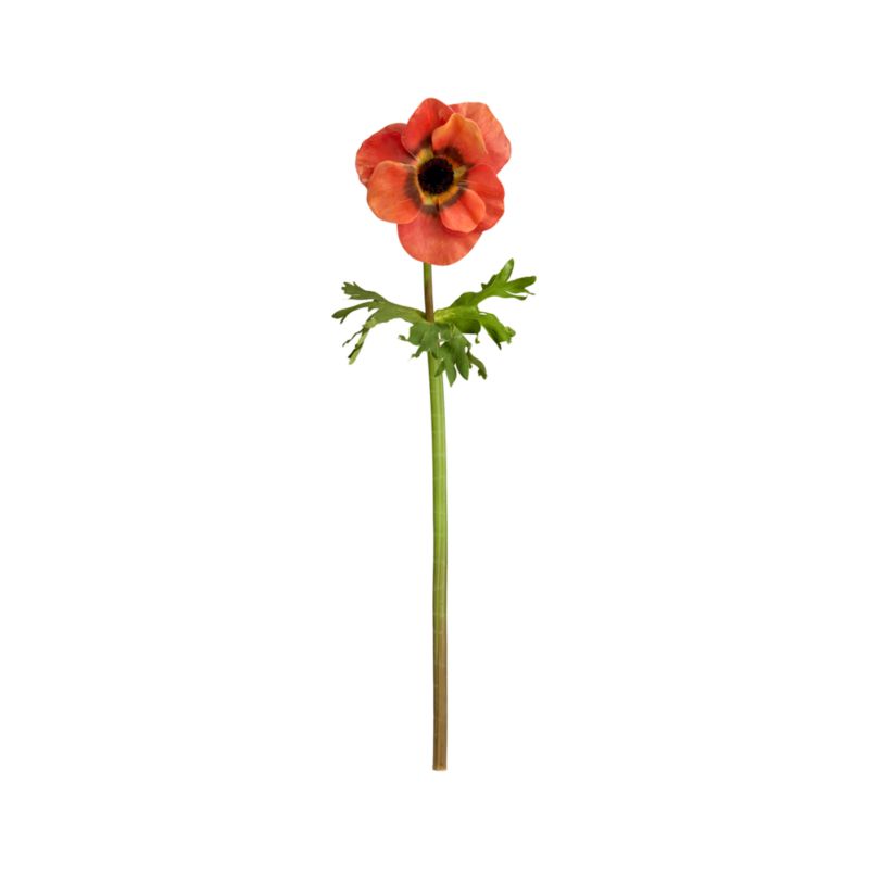 Anemone Orange Stem. 17"H