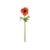 AnemoneStemOrangeS12
