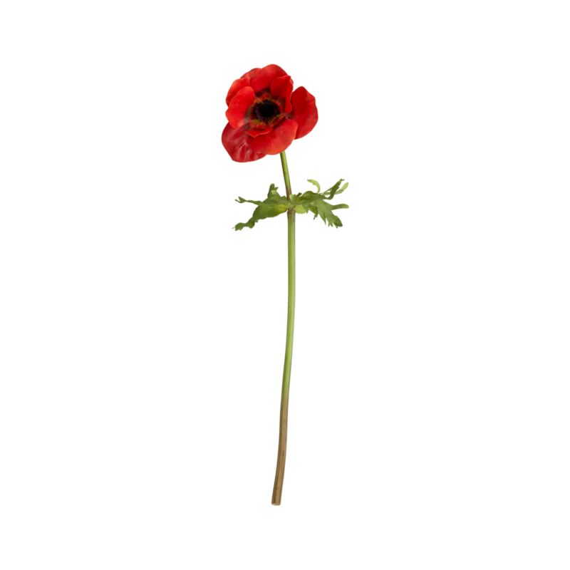 Anemone Red Stem. 17"H