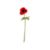 AnemoneStemRedS12