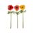 AnemoneStemsS12