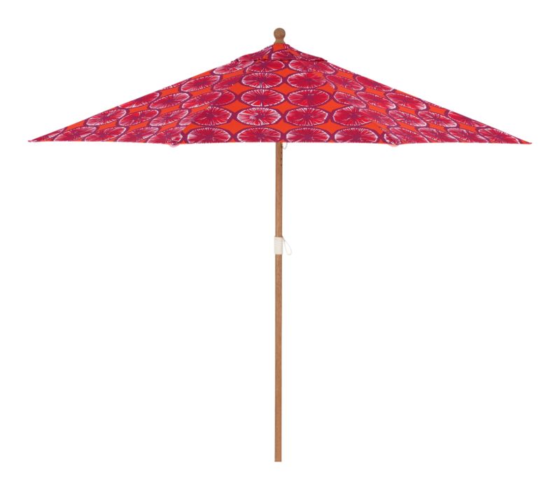 Arbor9ftEucUmbAplCalNBsS12