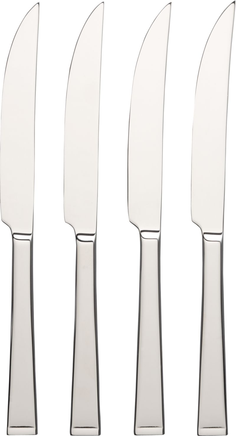 Set of 4 Arctic Steak Knives