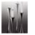 ArdenCandlesticksOO08