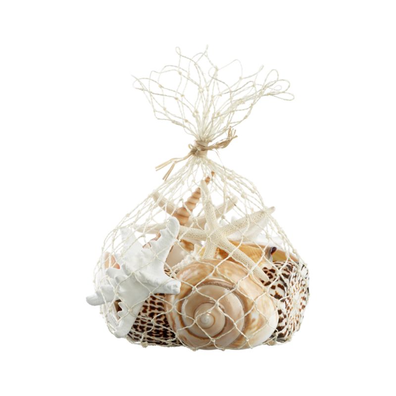 Assorted Shells in Bag