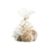 AssortedShellsInBagLLS10