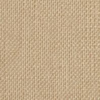 Aurora: Rattan