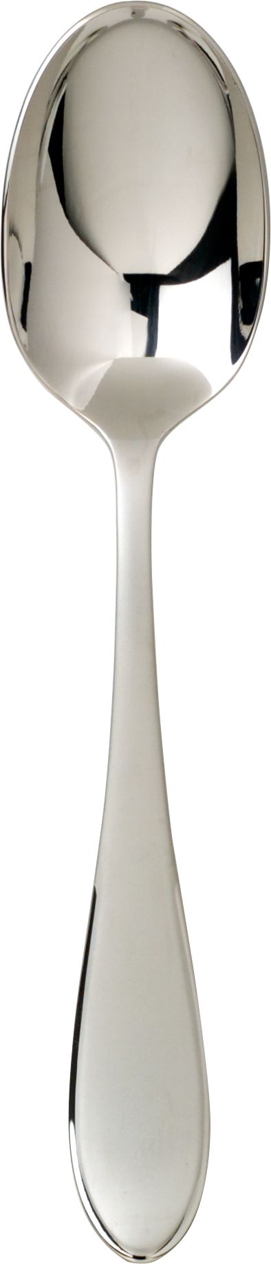Austen Serving Spoon
