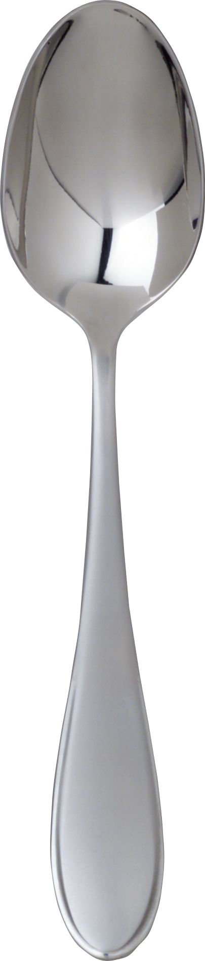 Austen Soup Spoon