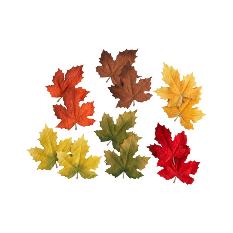 Set of 12 Scatter Leaves