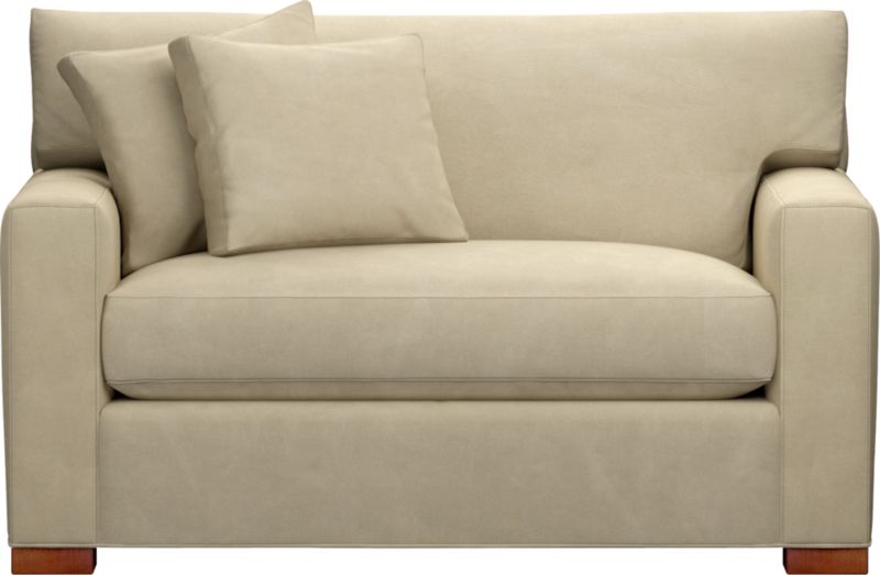 Twin Sleeper Sofa