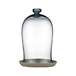 Large Bell Jar with Saucer