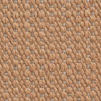 Binth: Camel