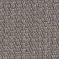 Binth: Grey