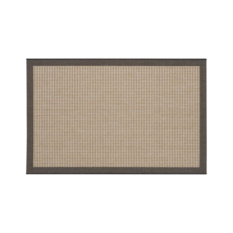Biscayne Black 4'x6' Indoor-Outdoor Rug