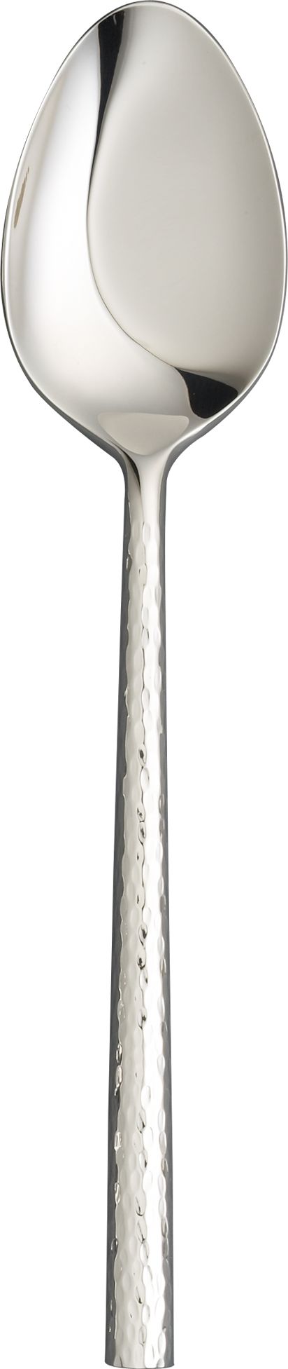 Serving Spoon.