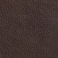 Bridle: Brown