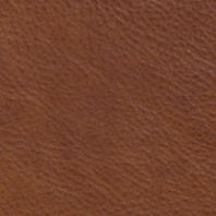 Bridle: Tan