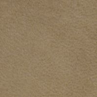 Bridle: Taupe