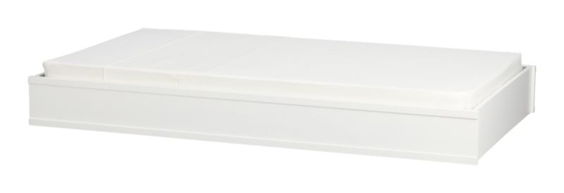 BrightonTrundleS8