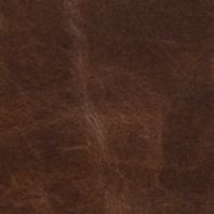 Brompton: Cocoa