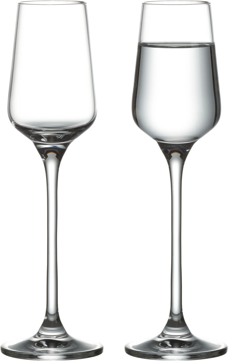 Bryn Grappa-Cordial Glass