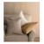 CaneyPillowStoneFI12