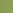 Sunbrella: Gingko