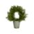 CedarWreathTopiaryF11