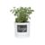 ChalkboardHerbPotNScrS12