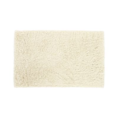 Chasen 3'x5' Rug