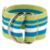 ChathamNapkinRingGrnS12
