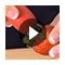 http://images.crateandbarrel.com/is/image/Crate/ChefnStrwbrryHllr_v_icon_2151110