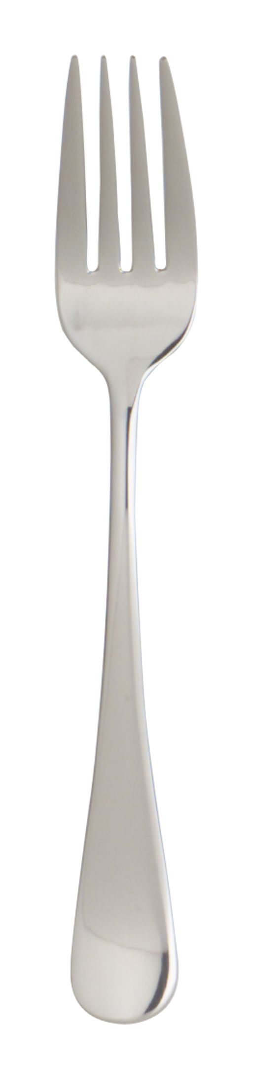 CirrusSaldForkS10