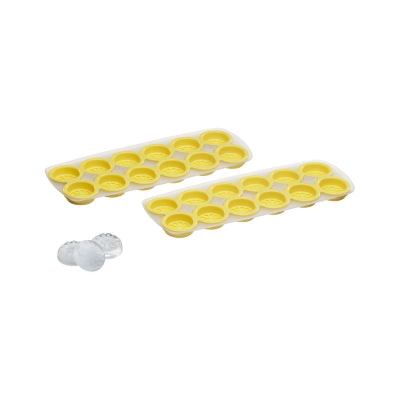 Citrus Ice Cube Tray Set of 2