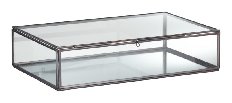 ClarusDisplayBoxLgF10