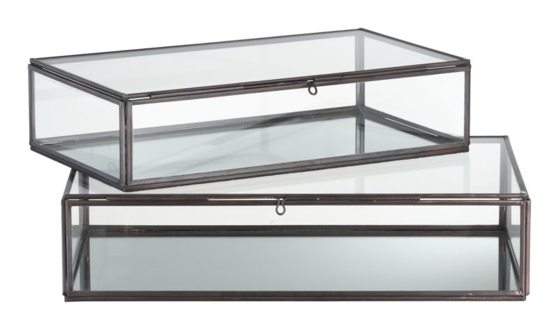 ClarusDisplayBoxesF10