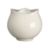 ClassicCenturySugarWLidS10