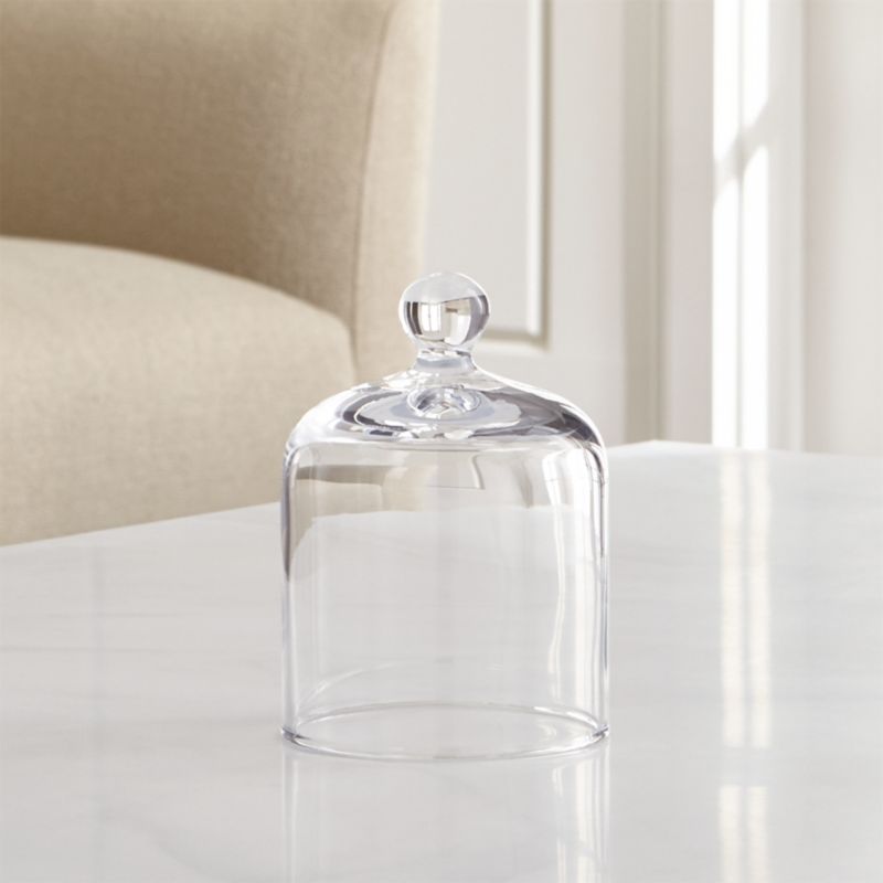 Glass Cloche Crate and Barrel