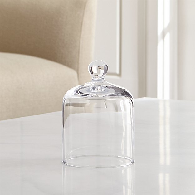 Glass Cloche Crate and Barrel