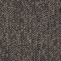 Cole: Ebony