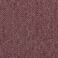 Cole: Plum